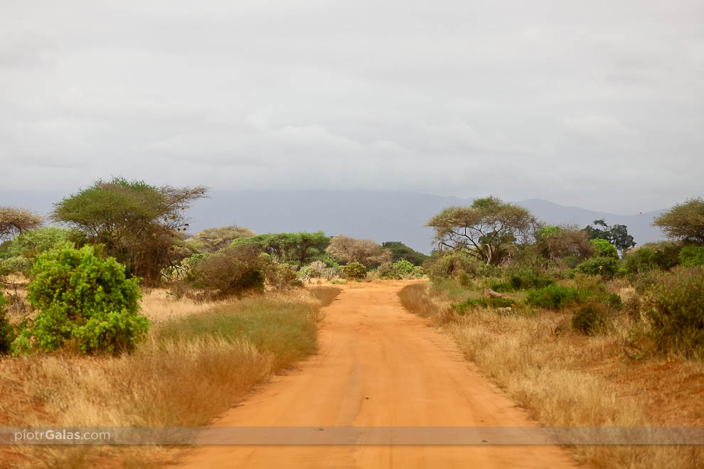 Kenia 2012 // 